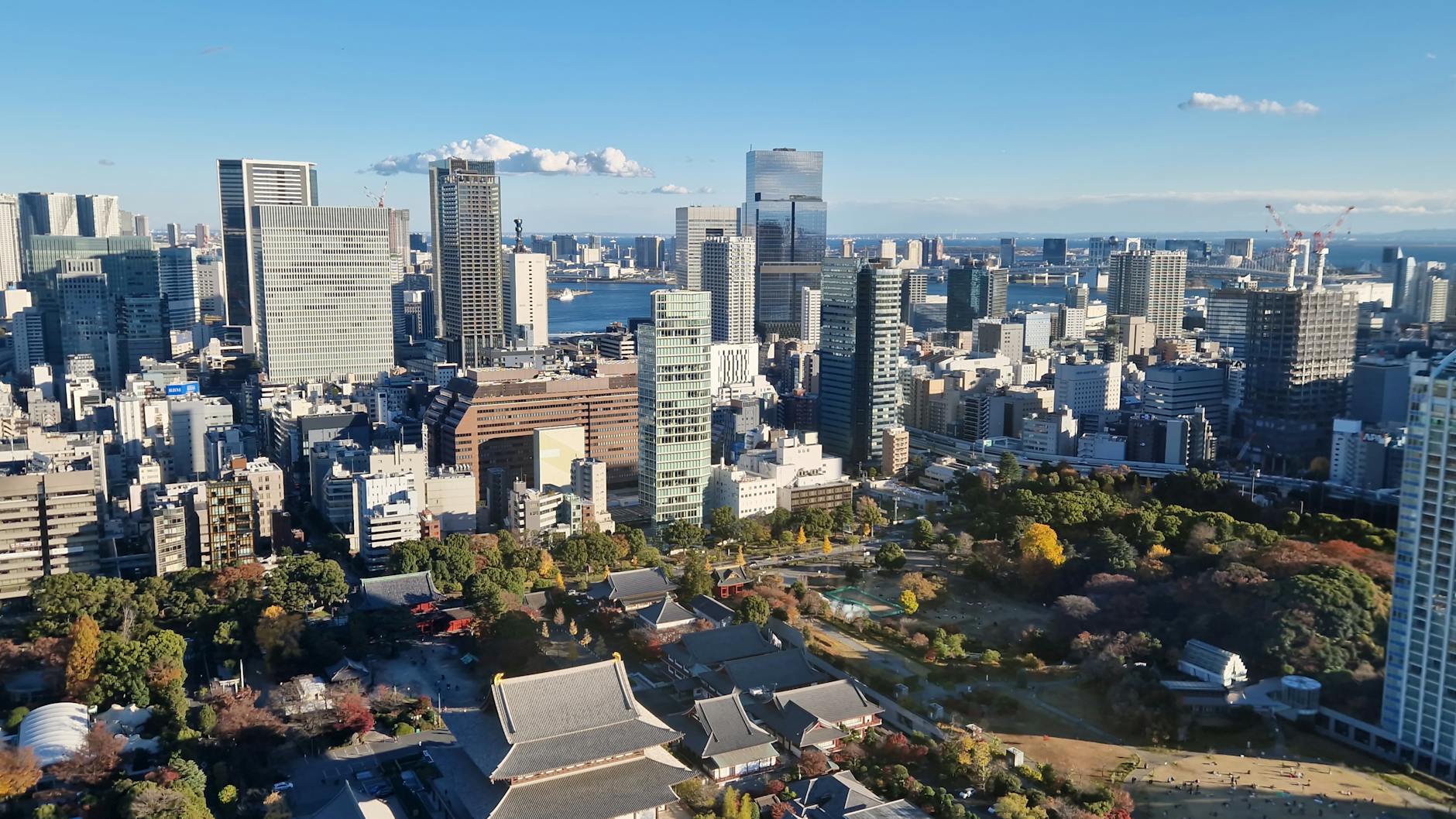 竞技世界
